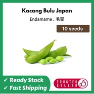 【10 pcs】Biji Benih Kacang Edamame / Kacang Bulu / Edamame Seed / 毛豆种子