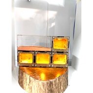 [DT08] Standing Light Tank for Ant Raising/ Ant Raising Tank/ Ant Tank/ Ant Raising Box/ Standing Ta