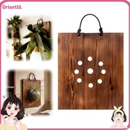 ORIENTTK Staghorn Fern Board, Wood Hanging Staghorn Fern Mounting Board,  Wall Mounted Perforated Bo