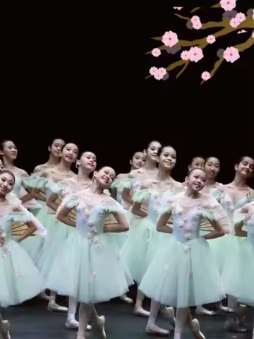 Romantic Tutu Giselle Ballet Costumes Girls Child Velet Tulle Skating Dress Ballerina Bubble Short S