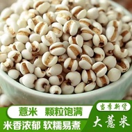 Guizhou Coix Rice New Barley Barley Barley Barley Barley with Red Adzuki Beans Poria Gorgon Fruit Po