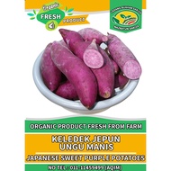 SWEET POTATO JAPAN/UBI KELEDEK JEPUN ISI UNGGU PURPLE