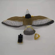 Eagle Toy / Children's Toy Led checkerboard