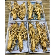 Fresh Korean ginseng size 4 roots 1kg