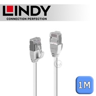 LINDY CAT.6A Ultra-Fine Ether Low Smoke Halogen-Free Network Cable U/FTP Gray 1m (47592)