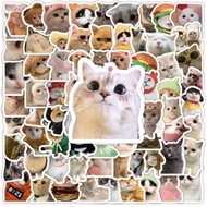 100Pcs Cat Stickers for Tumbler Aquaflask Phone Laptop, Waterproof Cat Meme Sticker for Kids