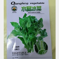 Wholesale Crystal Ice Vegetable Seeds Garden Pot Crested Wheatgrass Vegetable Garden Outdoor Planting Balcony Planting V