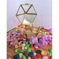 Ring holder aesthetic engagement ring holder/ 2 rings