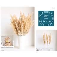 74cm natural colored reed grass branches used to decorate spaces in European style, high-quality sil