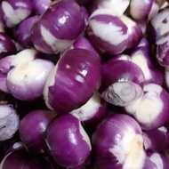 Bawang Rose India Siap Kupas