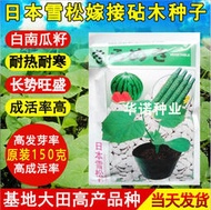 ⑧比日本雪松進口嫁接西瓜香瓜甜瓜砧木種子 種籽 白南瓜葫蘆種籽原裝150克hn