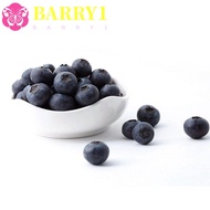 BARRY1 Artificial Blueberry Decorative Foam Simulation Blueberry Fruit Model DIY Party Garden Fake F