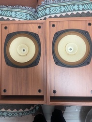 日本原装Fostex  FE-163 全咅，喇叭一对，下面連接影片實物拍 vs jbl tannoy b&w sony focal celestion pm6 pm8 飛利浦