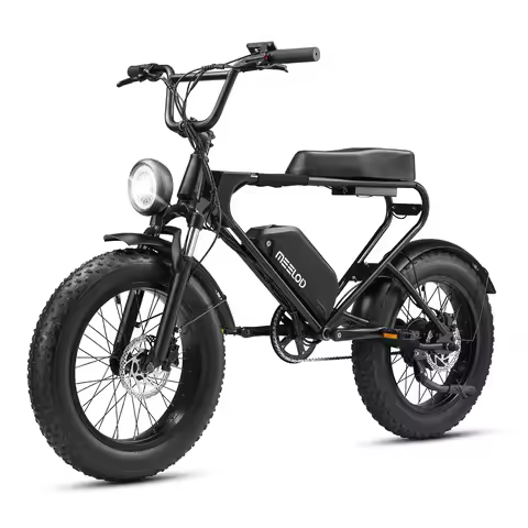 MEELOD DK200 adult E-bike 1008W 48V 12.5Ah battery commute Electric Bike,20-inch Fat Tire E-Mountain