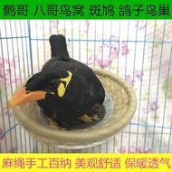 Starling Nest Bird Nest Bird Nest Bird Nest Bird Nest Bird Nest Turtle Dove Wax Beak Pigeon Nest Bir