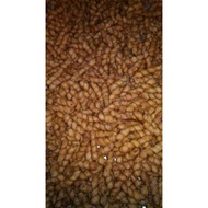 2kg bilis pintal cake