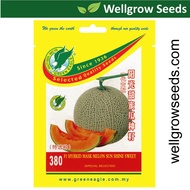 Cantaloupe Rock Melon Sunshine Sweet (8  seeds) 阳光甜蜜瓜  Green Eagle GE380 Biji Benih