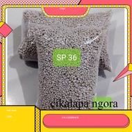 Pupuk Pupuk SP 36 Penyubur tanah terbaik