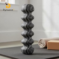 Dynwave Massage Roller Portable High Density Foam Roller for Athletes, Runners, Post-Workout, Gym