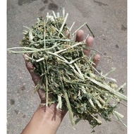 Alfalfa Hay 2kg For Rabbit and Guinea Pig