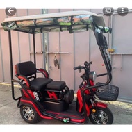 Brand new 3 wheel electric bike