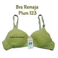 Plum Bra Series 123 Plum Bra/ Type 123