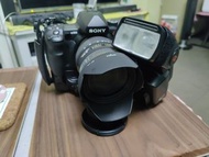 Sony a850 with Sigma 24-70 lens and Sony 58 flash