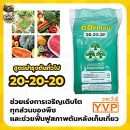 ปุ๋ยเกล็ด 20-20-20 เขียว สูตรบำรุงต้นทั่วไป ปุ๋ยเกล็ดละลายน้ำ ปุ๋ยละลายน้ำ ปุ๋ยระบบน้ำ ปุ๋ยแตงโม ปุ๋