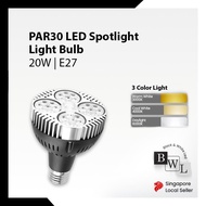 BWL LED PAR30 LED E27 BULB 20W/40W