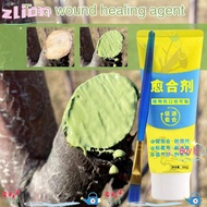 ZLION Tree Wound Sealant, with Brush 100g Grafting Tree Sealer,  Tree Repair Smear Agent Plant Resto