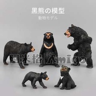 阿米格Amigo│一套5款 黑熊 小黑熊 Black Bear 仿真動物模型 科教 公仔 擺設 玩具 兒童 幼兒 禮物