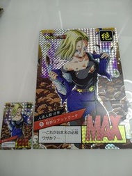 龍珠 fanscard 18號 9拼 紋理 硬閃卡