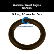 Aftercooler Core O Ring for Cummins NTA855 - 195952
