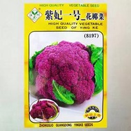 紫色花椰菜種子 種籽 花菜種子 種籽紫花菜種籽西蘭花種子 種籽春秋播蔬菜種子 種籽