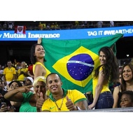 Large Brazil Flag - Flag