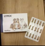 LYPEX (60 แคปซูล) ไลเป็กซ์เอนไซม์ช่วยย่อยอาหาร ในสุนัข-แมวที่เป็นตับอ่อนอักเสบ EPI