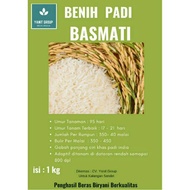 Benih Bibit Padi Basmati