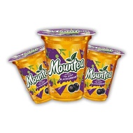 MOUNTEA BLACKCURRANT 160 ML