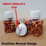 KJP RING 2 Kapsul Jamu Pelangsing Original Asli