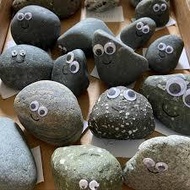 PET ROCK TOYS WITH GOGGLY EYES to play, RANDOM 1PC