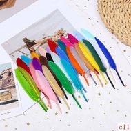 Colorful Feathers Goose Feathers Kindergarten Handmade Colorful Materials Children Creative Course Art Art Craft Decoration Feathers