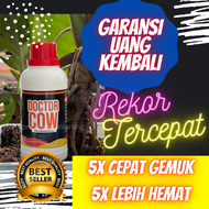 SUPER CEPAT GEMUK!!Jamu Sapi Cepat GemukJamu Sapi Rakus MakanJamu Sapi Nyeor EjuhJamu Sapi Agar Cepa