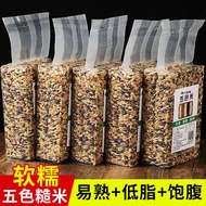 得人如魚糙米新米东北五谷杂粮红米黑米饭粗粮胚芽米 五色糙米【真空防潮防虫】500g*5