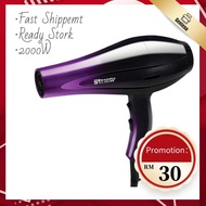 Fashion Professional Hair Dryer 2000W Strong Wind Ionic Travel Hair Style Dryer XI-8888