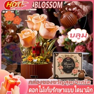 Kiss Building Blocks To Bloom Flower Garden Dynamic Light Eternal-+ Lights + Gift Bags