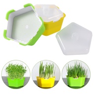 Bean Sprout Growing Box Sprout Ing Pot Germination Starter Wheatgrass Pea S Soilless Hydroponic Nursery Tray