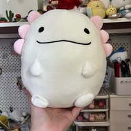 B19 - Pink Axolotl Plush Toy