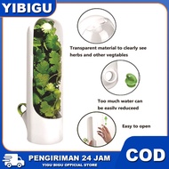 Vegetable Spice Storage Container Onion Leaves Celery Spice Preservative Glass Vegetable Chopper Kit