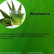 Rodeos Men Rodeos Charcoal Soap For Men Facial Cleansing Soap 80 Grams