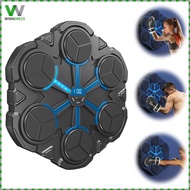 Music Boxing Equipment Wall Mounted BT Interactive Punching Trainer for Adults Kids Boys Girls 8 9 1